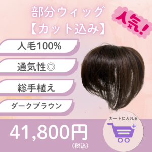 部分ウィッグ/人毛100%/総手植え/カット込み/ダークブラウン