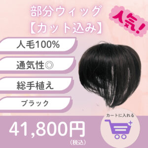 部分ウィッグ/人毛100%/総手植え/カット込み /ブラック