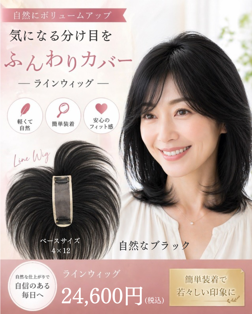 新登場！ラインウィッグ⭐️人毛100％/自然なブラック/4×12