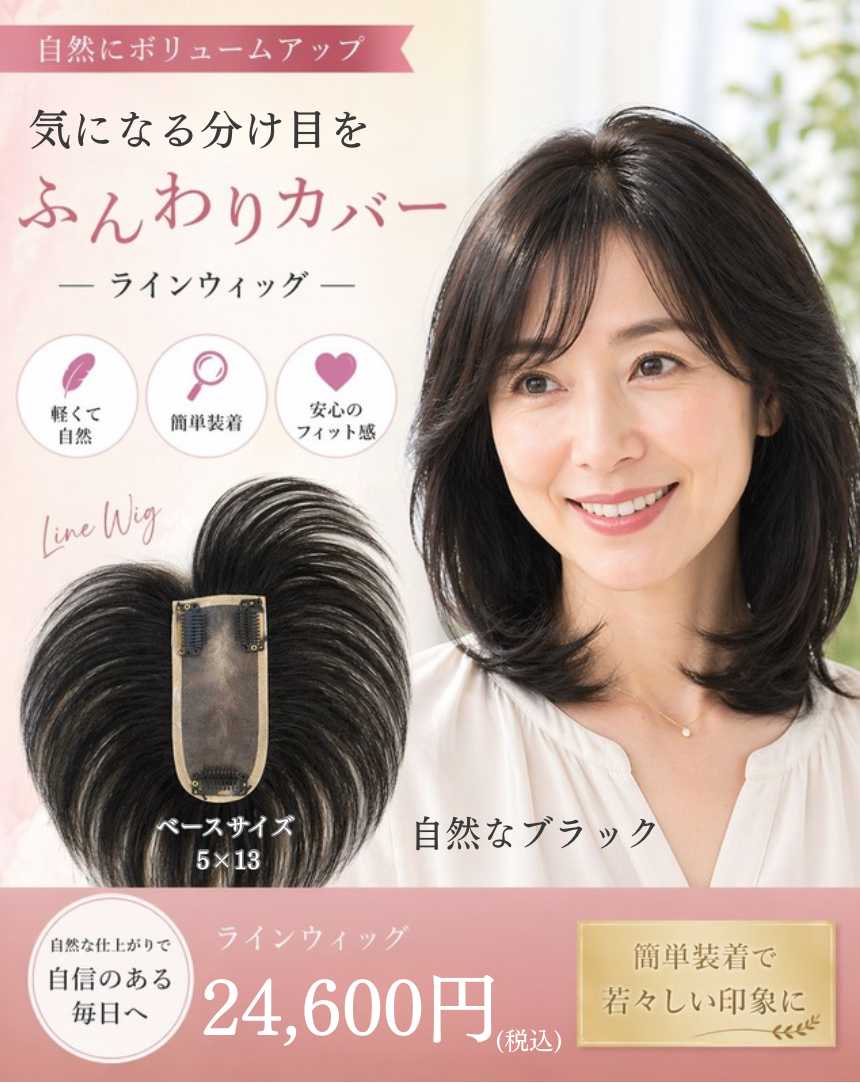 新登場！ラインウィッグ⭐️人毛100%/自然なブラック/5×13
